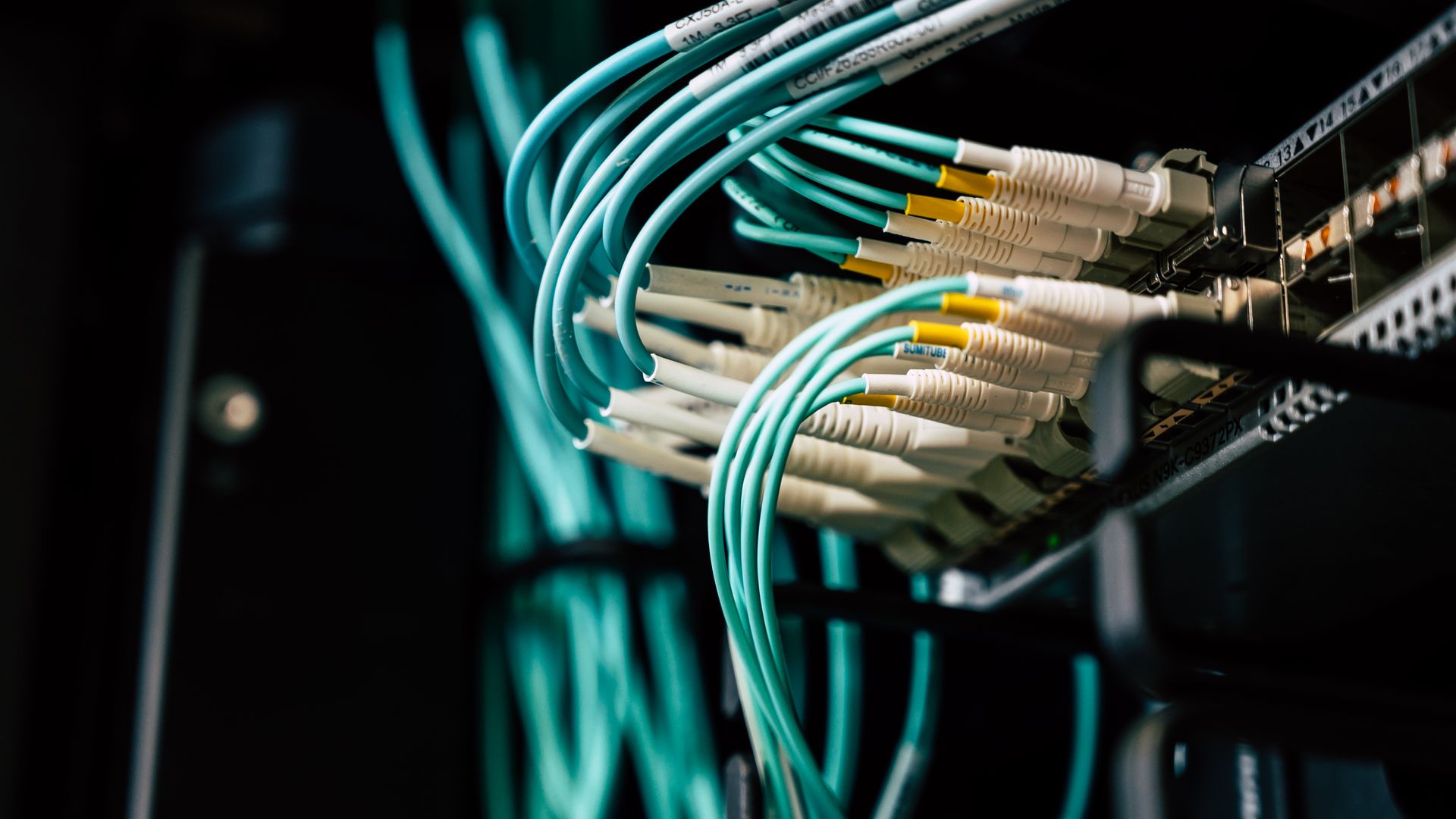 Netzwerkkabel und Serverhardware mit Statusleuchten.